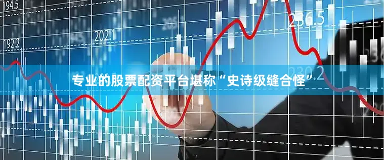 专业的股票配资平台堪称“史诗级缝合怪”