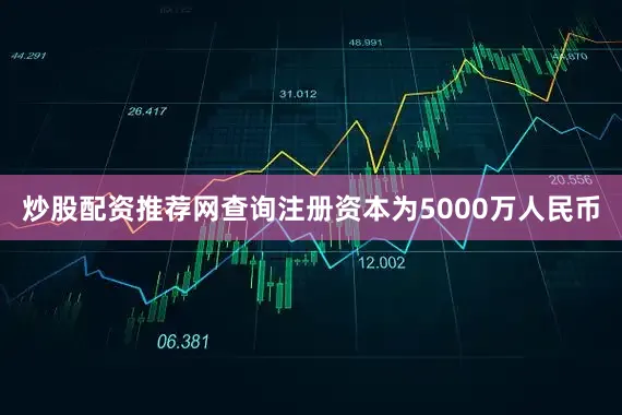 炒股配资推荐网查询注册资本为5000万人民币