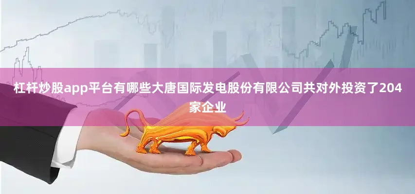 杠杆炒股app平台有哪些大唐国际发电股份有限公司共对外投资了204家企业
