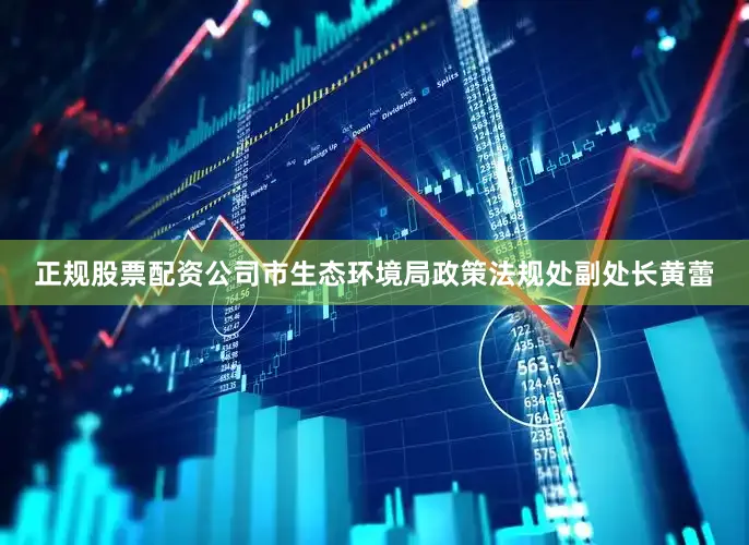 正规股票配资公司市生态环境局政策法规处副处长黄蕾