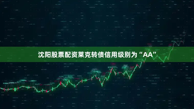 沈阳股票配资莱克转债信用级别为“AA”