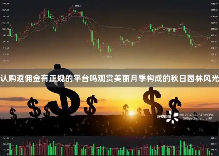 认购返佣金有正规的平台吗观赏美丽月季构成的秋日园林风光