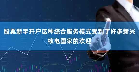 股票新手开户这种综合服务模式受到了许多新兴核电国家的欢迎