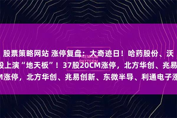 股票策略网站 涨停复盘:大奇迹日!哈药股份、沃格光电、雅克科技等9股上演“地天板”!37股20CM涨停,北方华创、兆易创新、东微半导、利通电子涨停!